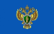 Утилизация автомобилей