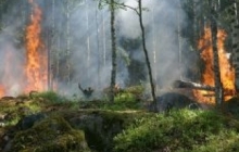 О лесных пожарах