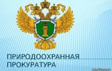 Проверка ООО "Прогресс"