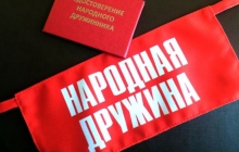 Добровольная народная дружина