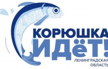 Участие в фестивале