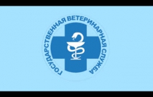 Заболевания пчел