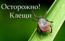 Всемирный день борьбы с клещевым энцефалитом