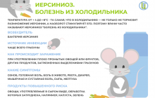 Что такое иерсиниоз