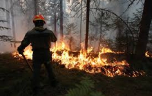 Сводка пожаров     