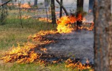Сводка пожаров на 13 апреля