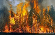 Сводка пожаров на 30 апреля